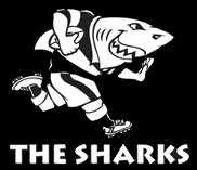 Sharks Rugby Logo