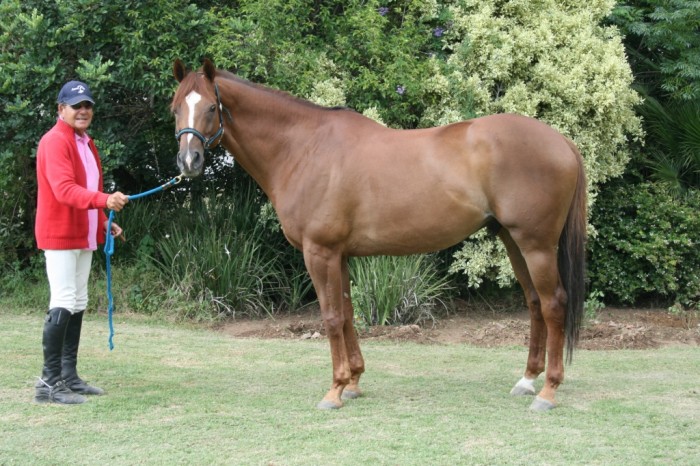Imbongi at Ascot. Photo by: Catherine Hartley