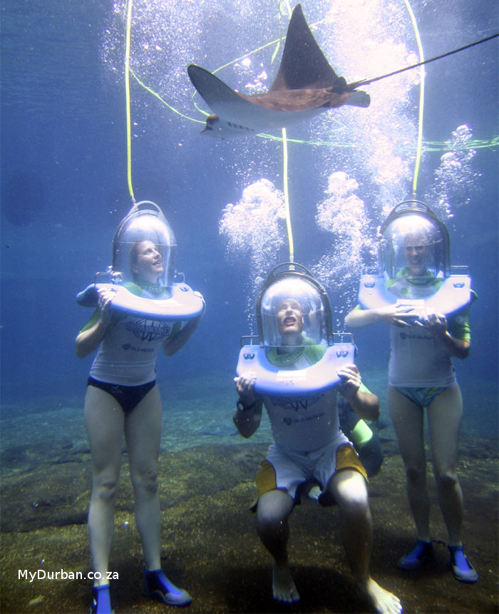 uShaka Ocean Walker