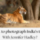 Two 2027 India Tiger Safari Departures Open for African Wildlife Photographers