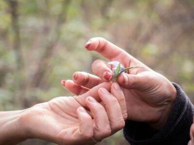 Kruger National Park Is Waking up for Spring