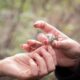 Kruger National Park Is Waking up for Spring