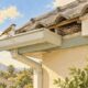 The Household Pest Mystery That Starts in the Roof