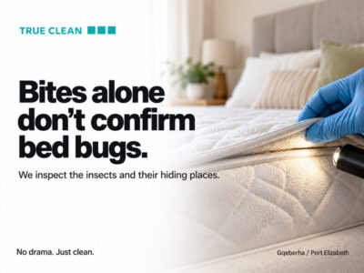 True Clean Explains Why Bed Bug Reports Need Checking